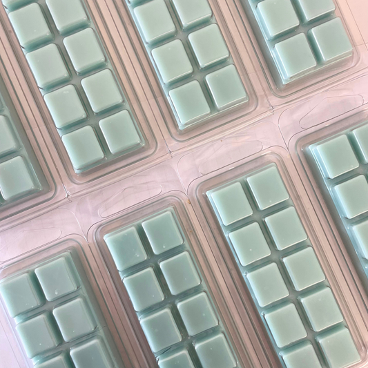 Wax Melt Bars 50g: Unstoppably Fresh